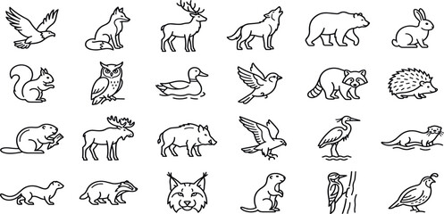 Fototapeta premium Woodland Wildlife and Forest Animals Line Icon Collection Featuring Deer Wolves Bears Birds Foxes Lynx Raccoons and Otters for Nature Conservation Project Graphics