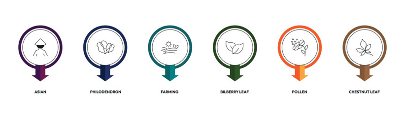 nature outline icon set. asian, philodendron, bilberry leaf, chestnut leaf and more. linear vector collection. editable stroke © Design_Farm