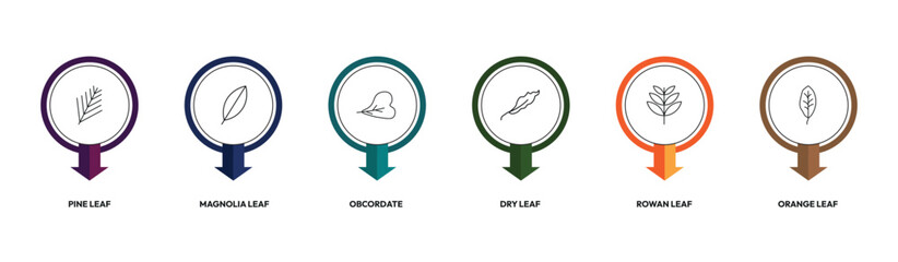 nature outline icon set. pine leaf, magnolia leaf, dry leaf, orange and more. linear vector collection. editable stroke © Design_Farm