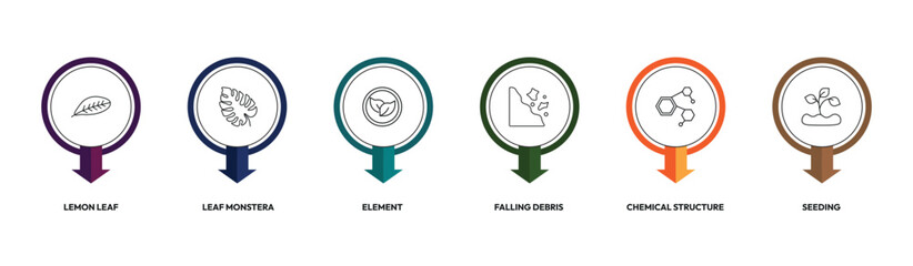 nature outline icon set. lemon leaf, leaf monstera, falling debris, seeding and more. linear vector collection. editable stroke © Design_Farm