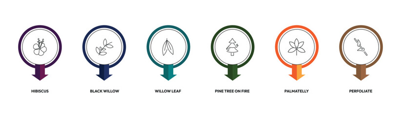 nature outline icon set. hibiscus, black willow, pine tree on fire, perfoliate and more. linear vector collection. editable stroke © Design_Farm