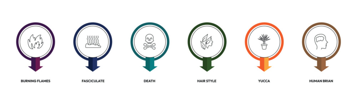 nature outline icon set. burning flames, fasciculate, hair style, human brian and more. linear vector collection. editable stroke