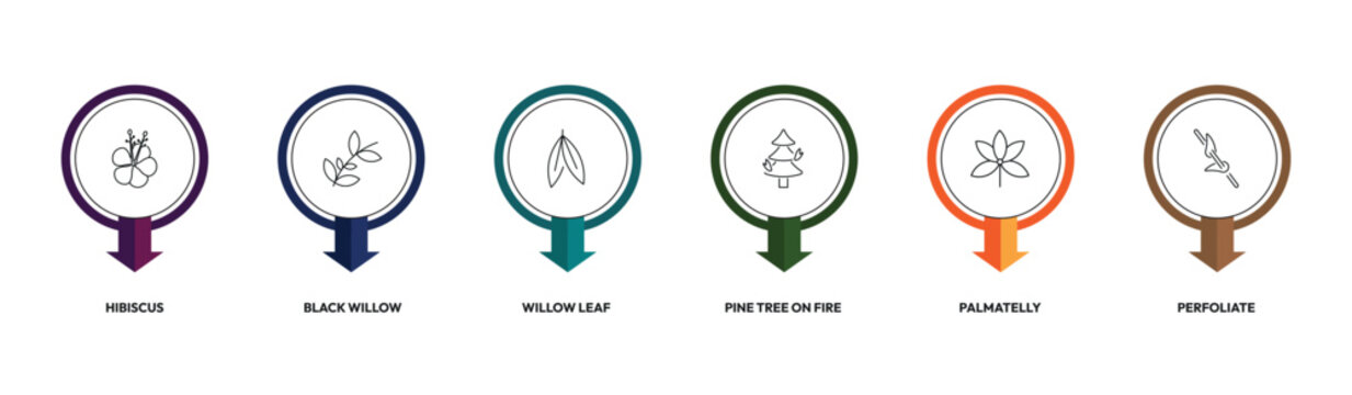 nature outline icon set. hibiscus, black willow, pine tree on fire, perfoliate and more. linear vector collection. editable stroke
