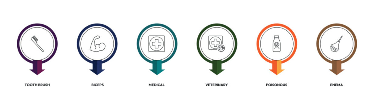 health and medical outline icon set. tooth brush, biceps, veterinary, enema and more. linear vector collection. editable stroke