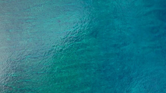 Overhead perspective ocean waves breaking over shallow coral reef. dLovely aerial view rone