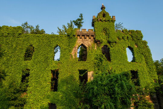 New York, NY - US - Jul 1, 2026 The Renwick Smallpox Hospital, a haunting Gothic Revival ruin on Roosevelt Island, New York City, featuring granite gneiss walls draped in lush green ivy.