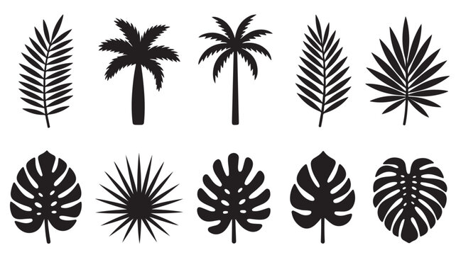 Tropical palm leaves silhouettes, set of 10 black monstera and coconut leaf icons, exotic jungle foliage vector elements for summer design