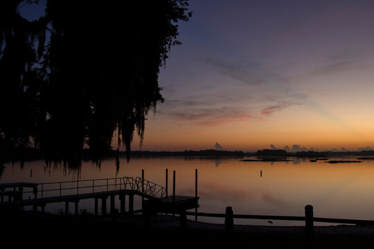 Cypress trees draped with Spanish Moss at sunrise n a central Florida Lake
