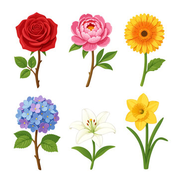 multi flower with multi colors, rose, sunflower, lilly