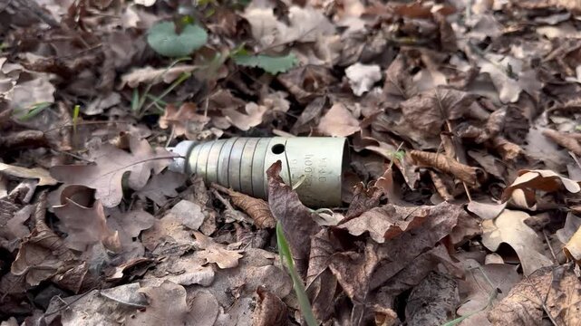 Close-up of an unexploded 3B30 submunition in dry oak leaf litter, its ribbed metal casing showing a vent hole, stamped markings, and a fabric ribbon stabilizer, with new green shoots nearby
