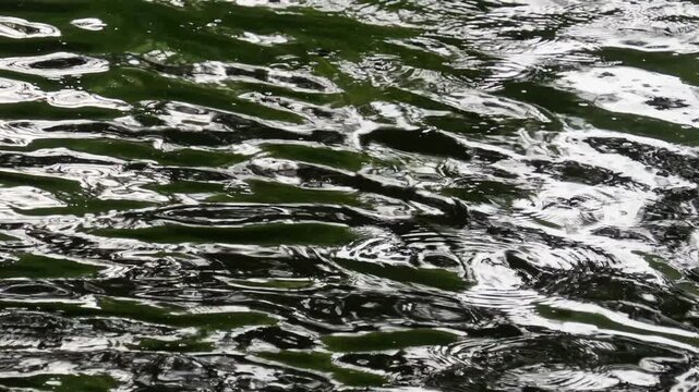 きらめく水面の揺らぎと波紋をアップで捉えた抽象的なスローモーション映像。下から上への波紋の動き