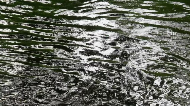  きらめく水面の揺らぎと波紋をアップで捉えた抽象的なスローモーション映像。下から上への波紋の動き