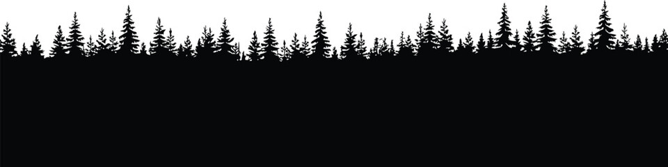 Black silhouette of pine trees against winter © MSTHUSNEWARA