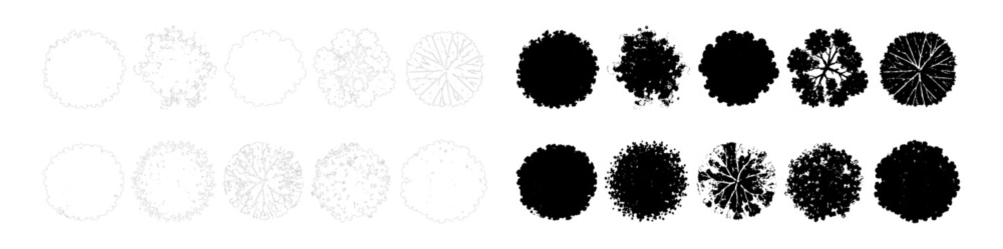 CAD tree top view outline and silhouette set, black and white canopy plan symbols for architecture landscape design vector illustration