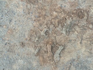 A close-up view of a rugged, rocky surface with dirt and stone texture © kawankerja