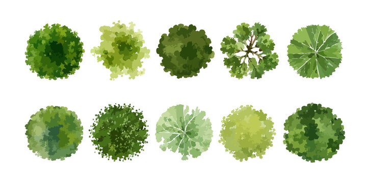 Watercolor tree top view set, green circular canopy symbols for landscape architecture garden plan design vector illustration