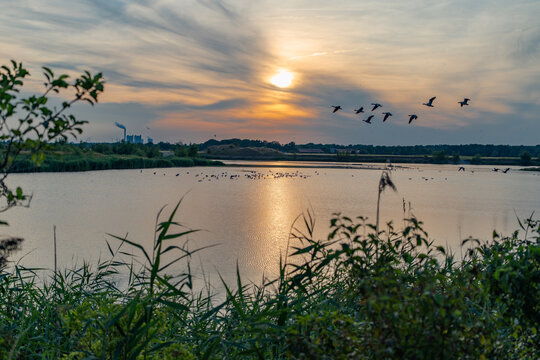 Seelandschaft