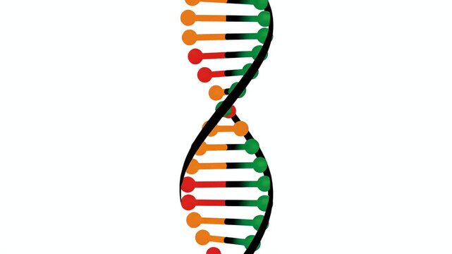 Colorful DNA double helix vector illustration on white background