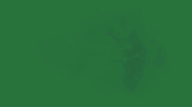 Green, White, Black Moon on Green Screen Background Horizontal 16:9