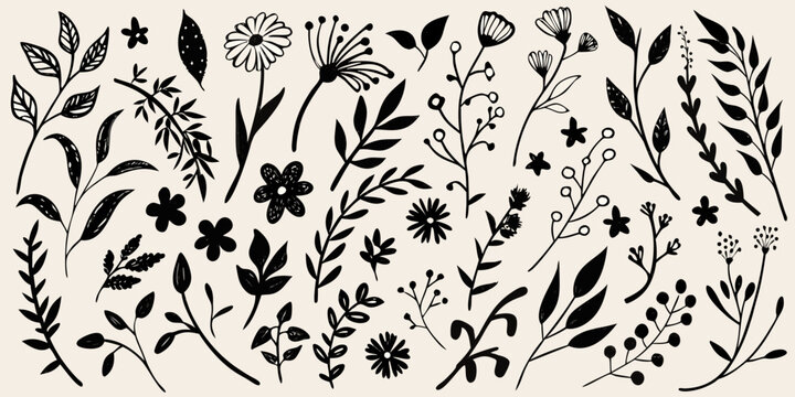 botanical collection hand drawn black ink on beige background flowers leaves stems plants nature illustration vector artwork design pattern organic floral