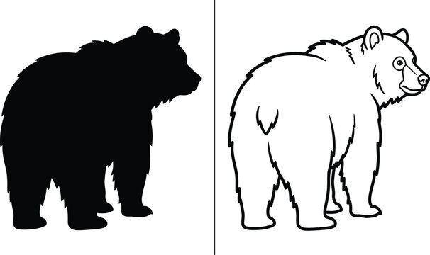 Grizzly Bear Silhouette and Outline Drawing with a Side Profile View of the Animal Looking Back.