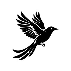 Fototapeta premium A bird is flying with its wings spread wide in mid air.