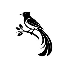 Fototapeta premium A bird perches on a branch with leaves, showcasing its distinctive feathers.