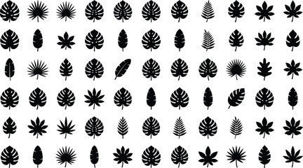 Tropical leaves silhouette vector icon set bundle featuring various monstera palm fern and exotic foliage shapes isolated on a white background  © MstMonjila