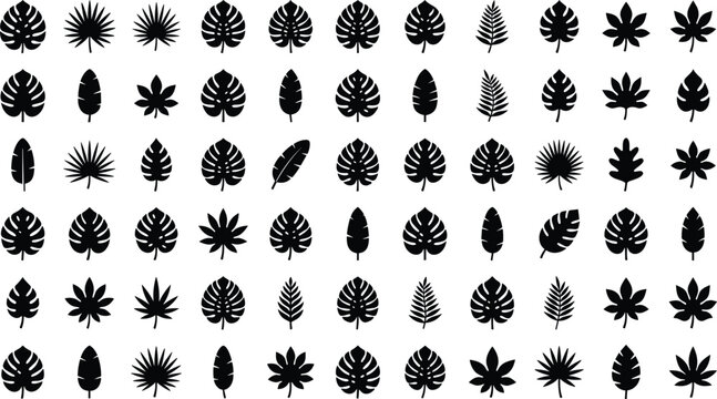 Tropical leaves silhouette vector icon set bundle featuring various monstera palm fern and exotic foliage shapes isolated on a white background
