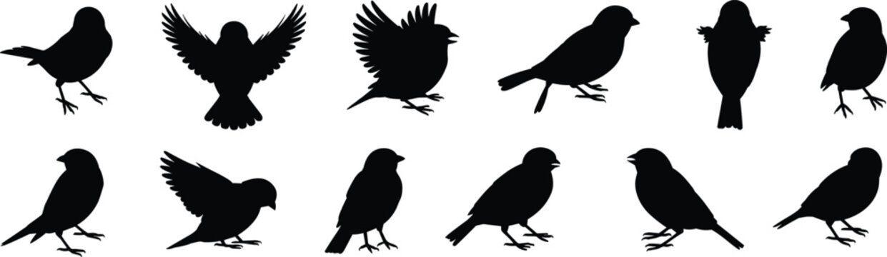 A collection of black silhouettes of small birds in various poses, including flying, standing, and perched, isolated on a white background set