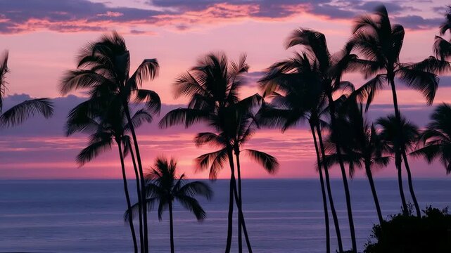 A tranquil sunset over the ocean with palm palms in the backdrop that may be used as a landscape or background