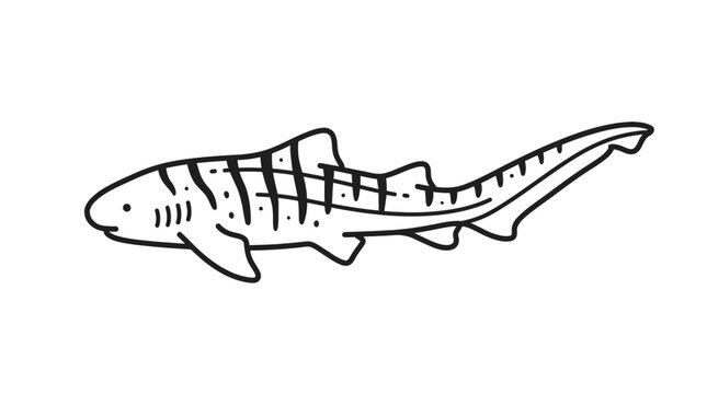 Zebra Shark Hand Drawn Illustration - Marine Life, Ocean Animal, Cute Sketch