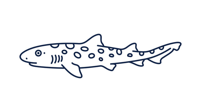 Cute cartoon leopard shark illustration, simple line drawing, white background