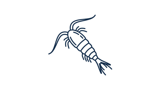 Simple Line Drawing of a Copepod Crustacean on White Background