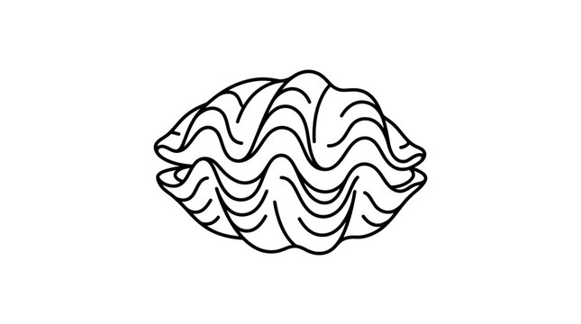 Minimalist Line Art of an Open Clam Shell, Ocean Dweller, Marine Life