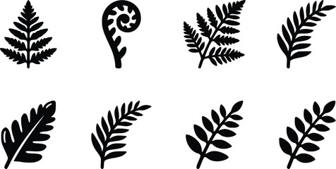 Set of black fern leaves and tropical plant foliage icons © AmajST