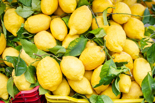 Wicker basket full of lemons on the italian street od Corniglia