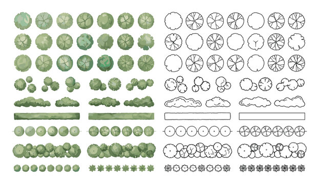 Architectural tree and shrub symbols set in top view plan