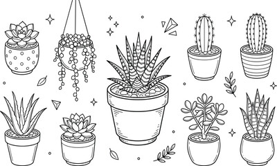 Potted Succulent and Cactus Line Art Icon Set Featuring Aloe Vera Haworthia Snake Plant Jade and Hanging Varieties for Printable Coloring Pages and Graphic Vector Designs © MDINSAN