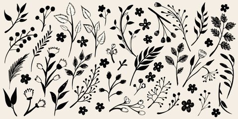 botanical collection hand drawn black ink on beige background flowers leaves plants stems berries sketch illustration vector natural organic floral design © Nikhil