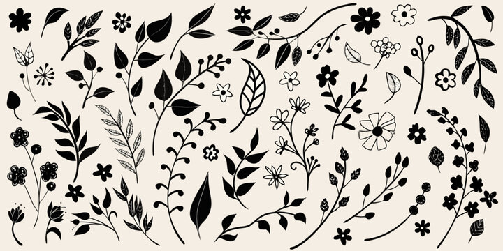 botanical collection hand drawn black ink on beige background flowers leaves stems plants nature illustration vector pattern design ornament floral organic