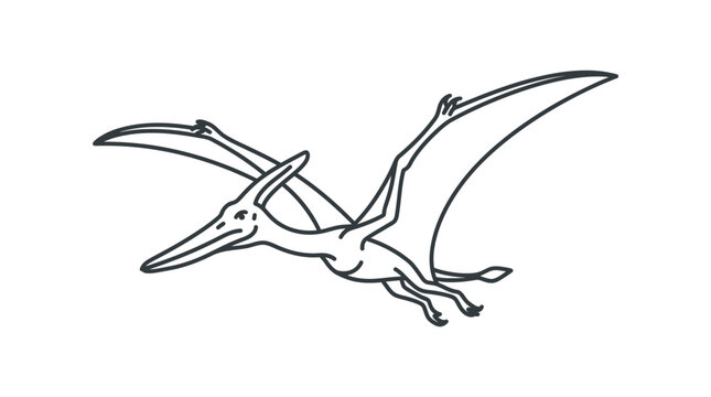 Pterodactyl flying, outline drawing, prehistoric reptile, ancient creature, white background