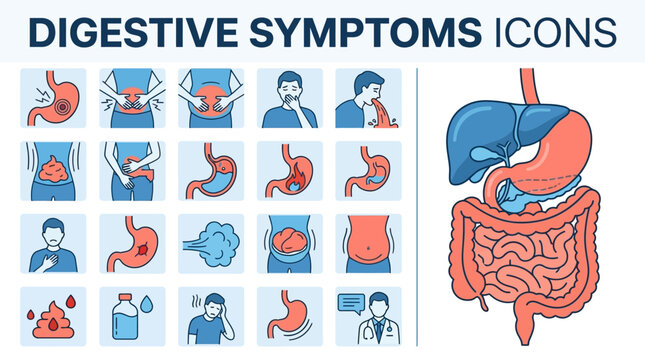 Digestive system organs and symptoms illustration.