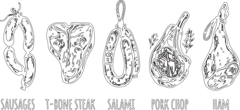 Hand Drawn Doodle Set of Fresh Meat Cuts and Sausages Vector