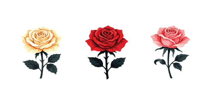 Three beautiful roses in red yellow and pink colors with green leaves