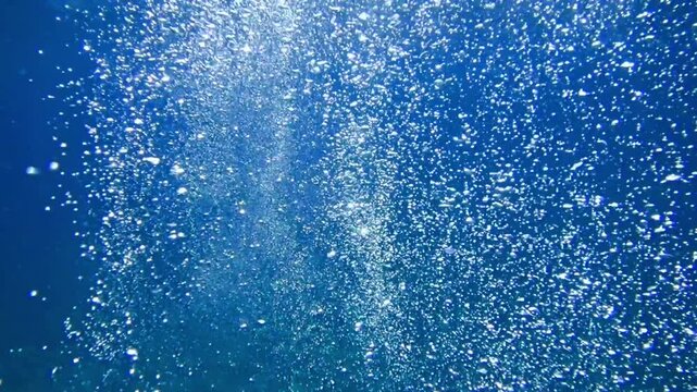 The sun shines through water, casting mottled light and shadow, intertwined with countless bubbles underwater, like a dance of light. Various aquatic, fish swimming in water in Mediterranean sea.
