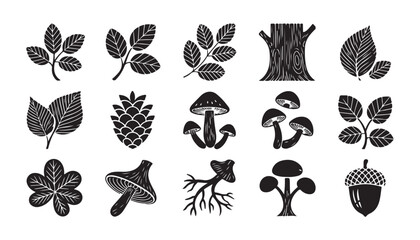 Detailed hand drawn botanical illustrations of forest leaves mushrooms pine cones and tree stump. © Mukti