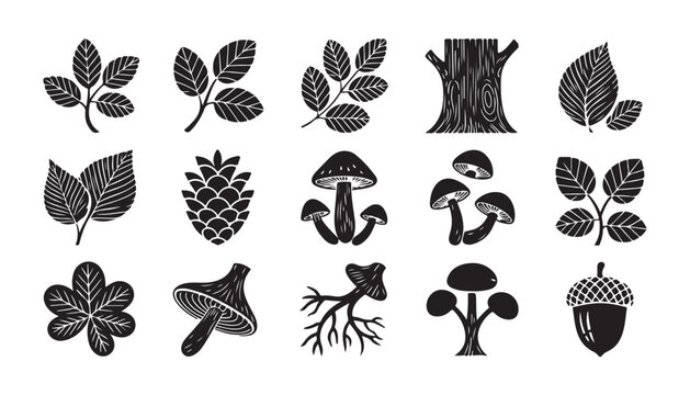 Detailed hand drawn botanical illustrations of forest leaves mushrooms pine cones and tree stump.