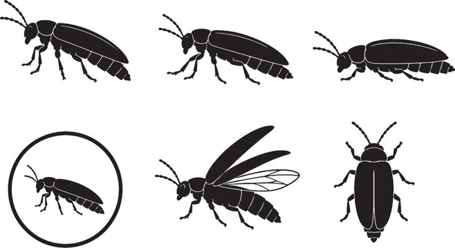 Firefly Black Silhouette Icon Set Lampyridae Beetle Vector Collection