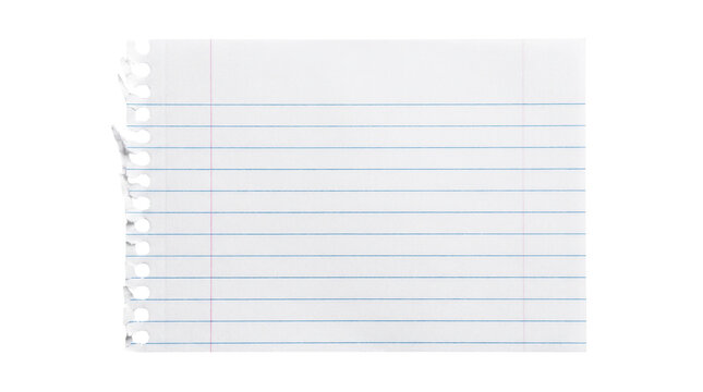 Lined paper, spiral notebook page, blue lines, white background, blank sheet